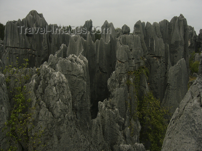 china226: Kunming, Yunnan Province, China: Shilin - forest of limestone spikes - karstic formation similar to the Tsingy de Bemaraha in Madagascar - photo by M.Samper - (c) Travel-Images.com - Stock Photography agency - Image Bank