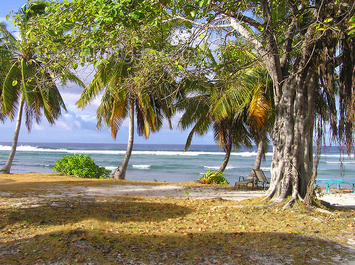 cocos-islands5: Cocos islands / Keeling islands / XKK: West Island - Soth Keeling Islands - trees by the beach - tropical scene - photo by Air West Coast - (c) Travel-Images.com - Stock Photography agency - Image Bank