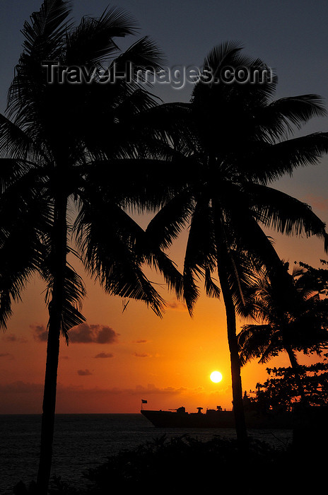 comoros14: Moroni, Grande Comore / Ngazidja, Comoros islands: coconut trees at sunset - view from the Corniche - photo by M.Torres - (c) Travel-Images.com - Stock Photography agency - Image Bank