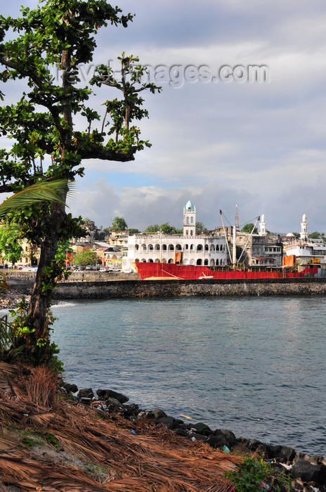 comoros42: Moroni, Grande Comore / Ngazidja, Comoros islands: tree and old port seen from the corniche - photo by M.Torres - (c) Travel-Images.com - Stock Photography agency - Image Bank