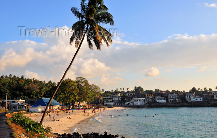 comoros7: Itsandra , Grande Comore / Ngazidja, Comoros islands: beach view - coconut tree - photo by M.Torres - (c) Travel-Images.com - Stock Photography agency - Image Bank