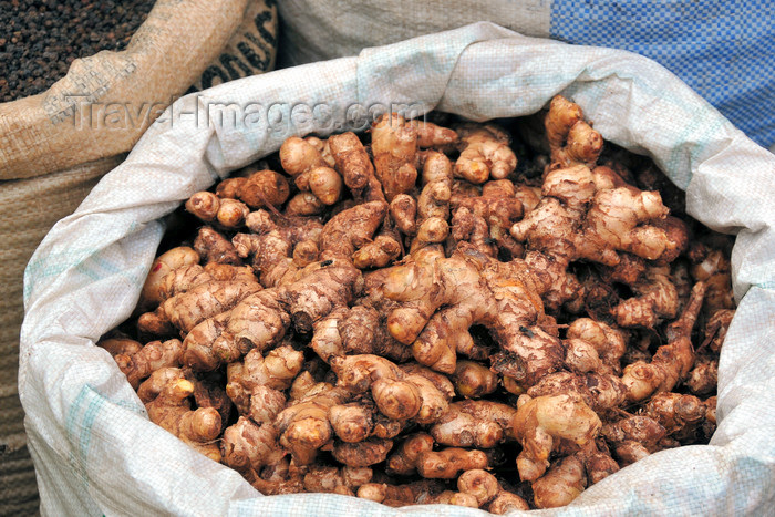 comoros71: Moroni, Grande Comore / Ngazidja, Comoros islands: ginger at the market - rhizome of Zingiber officinale - photo by M.Torres - (c) Travel-Images.com - Stock Photography agency - Image Bank