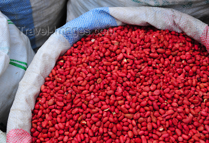 comoros72: Moroni, Grande Comore / Ngazidja, Comoros islands: peanuts at the market - cacahuètes - arachides - Arachis hypogaea - photo by M.Torres - (c) Travel-Images.com - Stock Photography agency - Image Bank