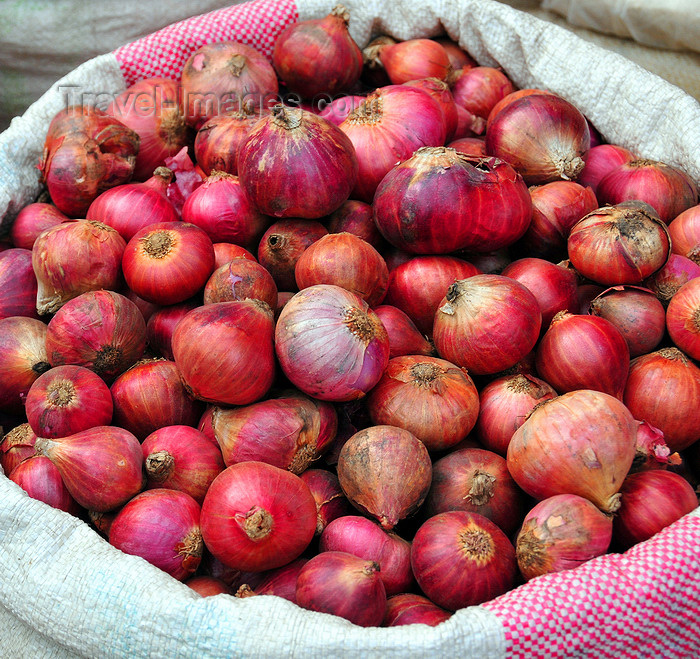 comoros73: Moroni, Grande Comore / Ngazidja, Comoros islands: onions at the market - photo by M.Torres - (c) Travel-Images.com - Stock Photography agency - Image Bank