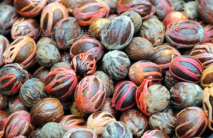 comoros75: Moroni, Grande Comore / Ngazidja, Comoros islands: nutmeg - spice - noix de muscade - photo by M.Torres - (c) Travel-Images.com - Stock Photography agency - Image Bank