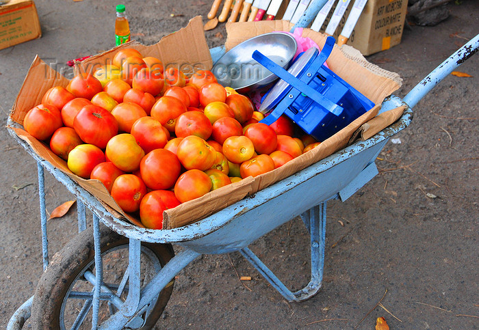 comoros78: Moroni, Grande Comore / Ngazidja, Comoros islands: tomatoes and scale on a wheelbarrow - market scene - Dashe - photo by M.Torres - (c) Travel-Images.com - Stock Photography agency - Image Bank