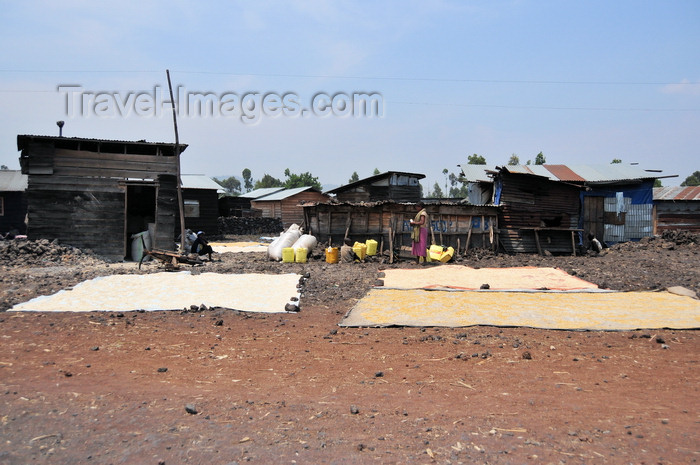 congo-dr16: Goma, Nord-Kivu, Democratic Republic of the Congo: cereals drying by the roadside - slum - wood and zinc huts - photo by M.Torres - (c) Travel-Images.com - Stock Photography agency - Image Bank