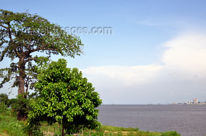 congo68: Brazzaville, Congo: banks of the Congo river, with a Baobab tree on the Brazzaville side and the Kinshasa skyline seen in the distance - view from Brazzaville's corniche - photo by M.Torres - (c) Travel-Images.com - Stock Photography agency - Image Bank