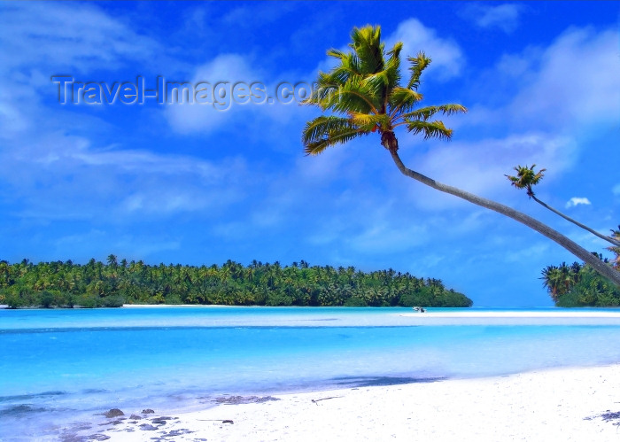 cook15: Cook Islands - Aitutaki: sandbar in lagoon - coconut tree -  classic picture postcard for a tropical island - photo by B.Goode - (c) Travel-Images.com - Stock Photography agency - Image Bank