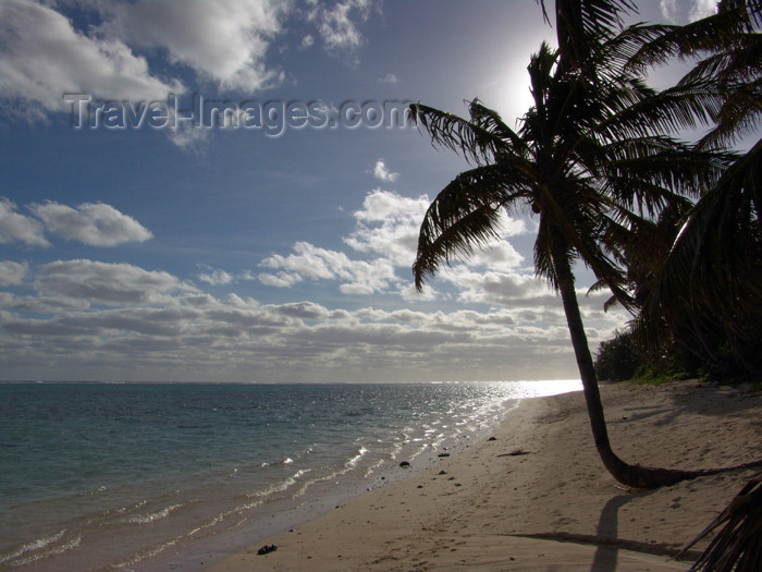 cook30: Cook Islands - Rarotonga island: sun behind palm tree - tropical beach - photo by B.Goode - (c) Travel-Images.com - Stock Photography agency - Image Bank