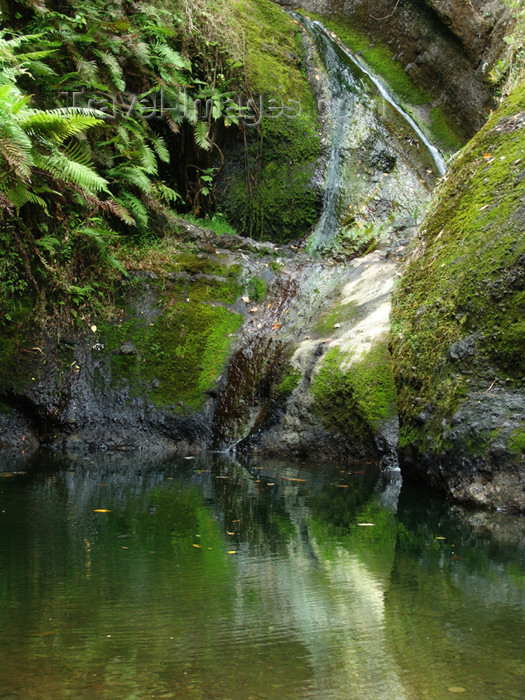 cook40: Cook Islands - Rarotonga island: Wigmore's waterfall, gushing  in the rainforest - photo by B.Goode - (c) Travel-Images.com - Stock Photography agency - Image Bank