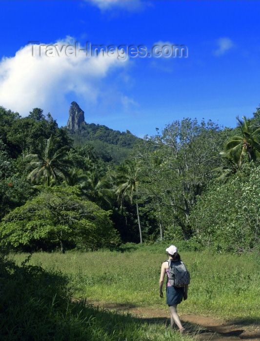 cook42: Cook Islands - Rarotonga island: trekking inland - photo by B.Goode - (c) Travel-Images.com - Stock Photography agency - Image Bank