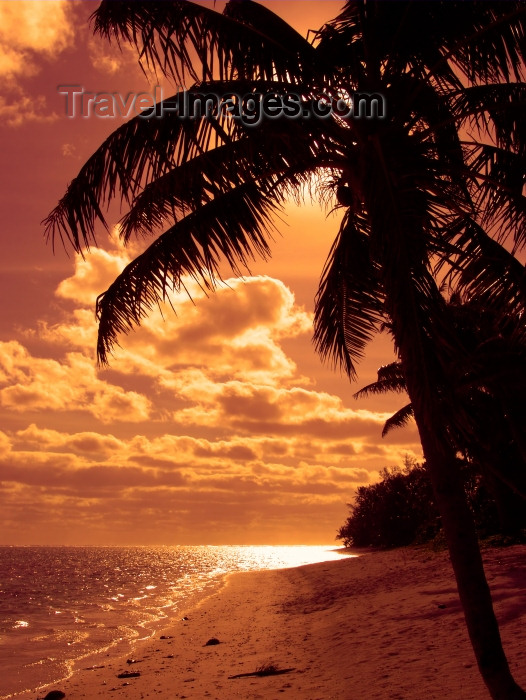 cook43: Cook Islands - Rarotonga island: Beautiful Pink Sunset - beach and palm silhouette - photo by B.Goode - (c) Travel-Images.com - Stock Photography agency - Image Bank