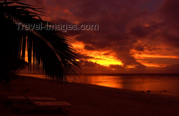 cook44: Cook Islands - Rarotonga island: palm silhouette - sunset - photo by B.Goode - (c) Travel-Images.com - Stock Photography agency - Image Bank