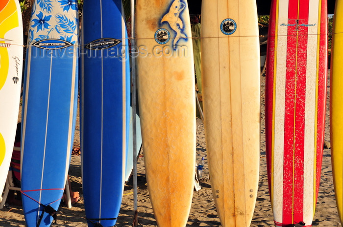 costa-rica112: Manuel António, Puntarenas province, Costa Rica: wall of surf boards - photo by M.Torres - (c) Travel-Images.com - Stock Photography agency - Image Bank