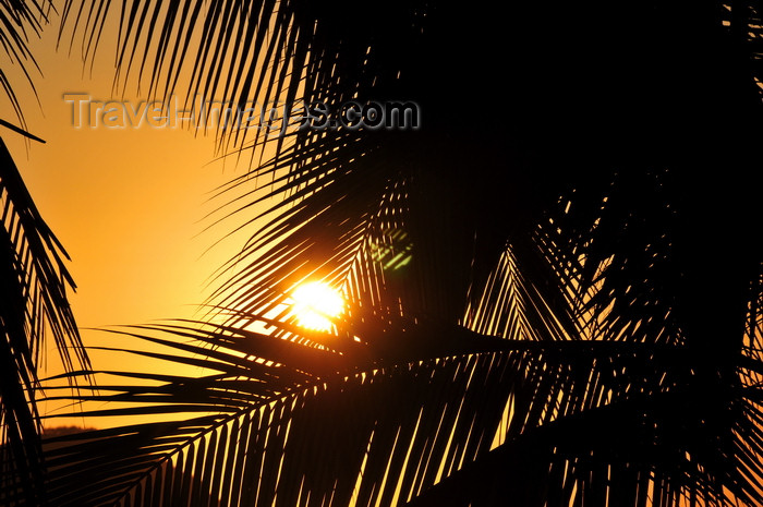costa-rica116: Manuel António, Puntarenas province, Costa Rica: sunset and palm tree leaves - photo by M.Torres - (c) Travel-Images.com - Stock Photography agency - Image Bank
