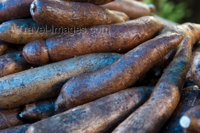 costa-rica29: Costa Rica - Alajuela province: yuca at a roadside market - cassava - mandioca - photo by H.Olarte - (c) Travel-Images.com - Stock Photography agency - Image Bank