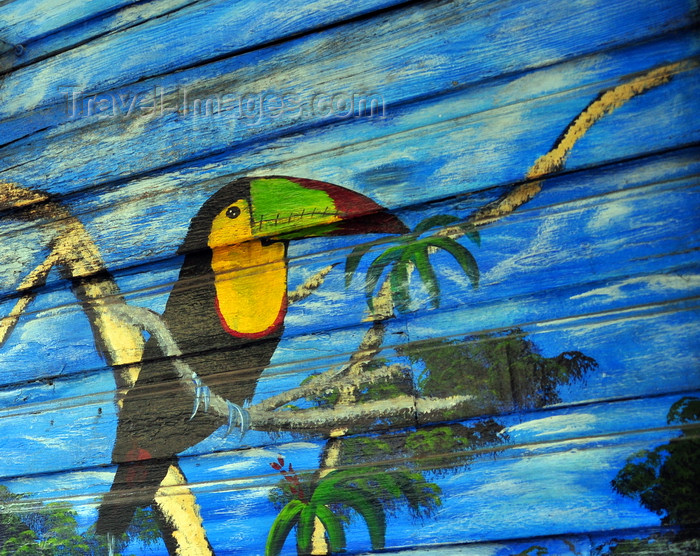 costa-rica34: San José, Costa Rica: Parque Morazán - tucan painted on a wooden wall - photo by M.Torres - (c) Travel-Images.com - Stock Photography agency - Image Bank