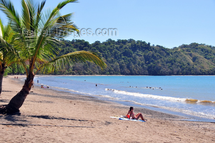 costa-rica91: Playa Herradura, Puntarenas province, Costa Rica: coconut trees and horseshoe beach - photo by M.Torres - (c) Travel-Images.com - Stock Photography agency - Image Bank