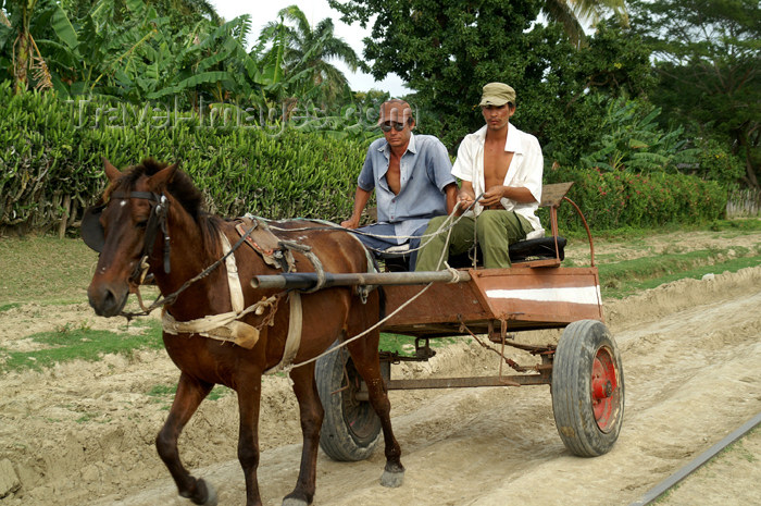 cuba101: Cuba - Holguín province - horse cart - photo by G.Friedman - (c) Travel-Images.com - Stock Photography agency - Image Bank