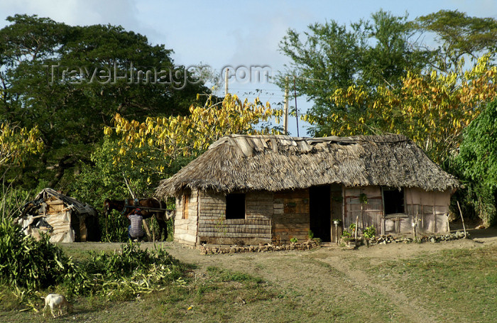 cuba106: Cuba - Holguín province - nicely kept shack - photo by G.Friedman - (c) Travel-Images.com - Stock Photography agency - Image Bank