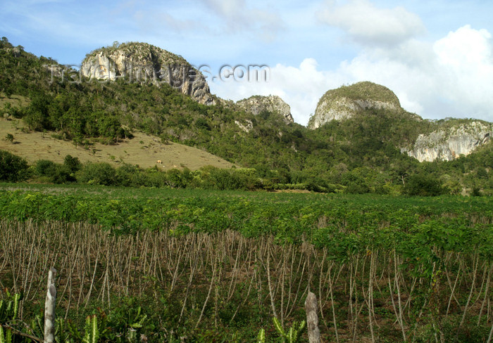 cuba111: Cuba - Holguín province - scenic - mountains - photo by G.Friedman - (c) Travel-Images.com - Stock Photography agency - Image Bank