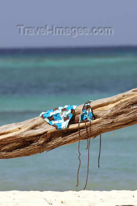 cuba35: Cuba - Guardalavaca - bikini on tree - bathing suit drying on a tree by a blue ocean - photo by G.Friedman - (c) Travel-Images.com - Stock Photography agency - Image Bank