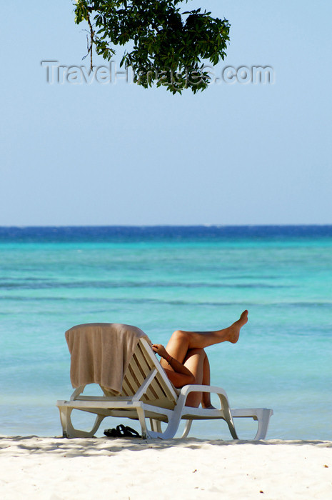 cuba47: Cuba - Guardalavaca - Relaxing by beach with tree at top - Every travel brochure can use this image.  It represents travel, relaxation, and a leisurely lifestyle - photo by G.Friedman - (c) Travel-Images.com - Stock Photography agency - Image Bank