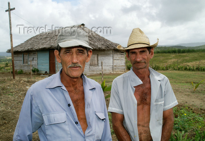 cuba86: Cuba - Holguín province - two farmworkers working their land and tilling their soil - photo by G.Friedman - (c) Travel-Images.com - Stock Photography agency - Image Bank