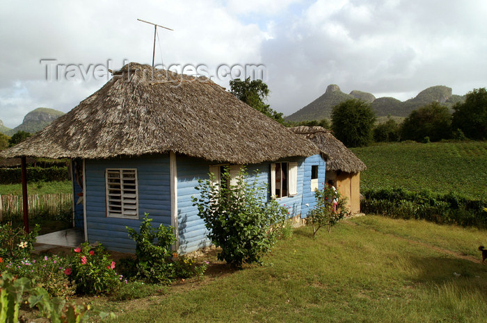 cuba87: Cuba - Holguín province - blue house and green fields - photo by G.Friedman - (c) Travel-Images.com - Stock Photography agency - Image Bank