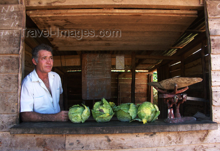 cuba91: Cuba - Holguín province - cabbage vendor - photo by G.Friedman - (c) Travel-Images.com - Stock Photography agency - Image Bank