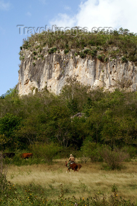cuba93: Cuba - Holguín province - cowboy and mountain - photo by G.Friedman - (c) Travel-Images.com - Stock Photography agency - Image Bank