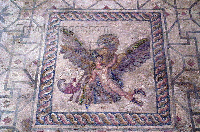 cyprus105: Paphos, Cyprus: Roman mosaic in the house of Dionysos - flying - photo by A.Ferrari - (c) Travel-Images.com - Stock Photography agency - Image Bank