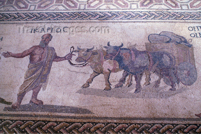 cyprus106: Paphos, Cyprus: Roman mosaic in the house of Dionysos - Icarus - photo by A.Ferrari - (c) Travel-Images.com - Stock Photography agency - Image Bank