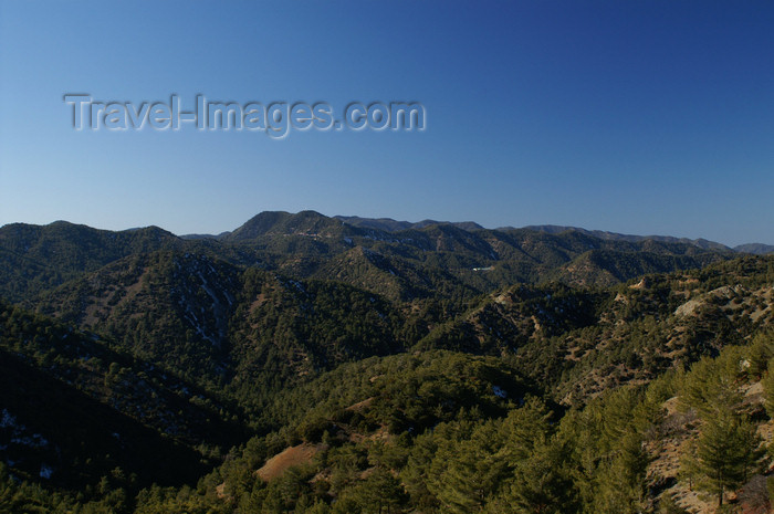 cyprus128: Troodos mountains - Nicosia district, Cyprus: forest area - photo by A.Ferrari - (c) Travel-Images.com - Stock Photography agency - Image Bank