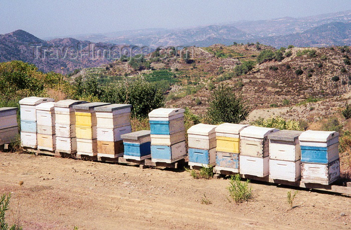 cyprus30: Cyprus - Paphos district - mountain honey - beehives - photo by Miguel Torres - (c) Travel-Images.com - Stock Photography agency - Image Bank