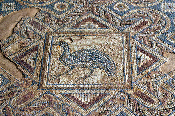 cyprus65: Kourion - Limassol district, Cyprus: bird - mosaic in the baths of the Kourion Ancient City - complex of Eustolios - photo by A.Ferrari - (c) Travel-Images.com - Stock Photography agency - Image Bank