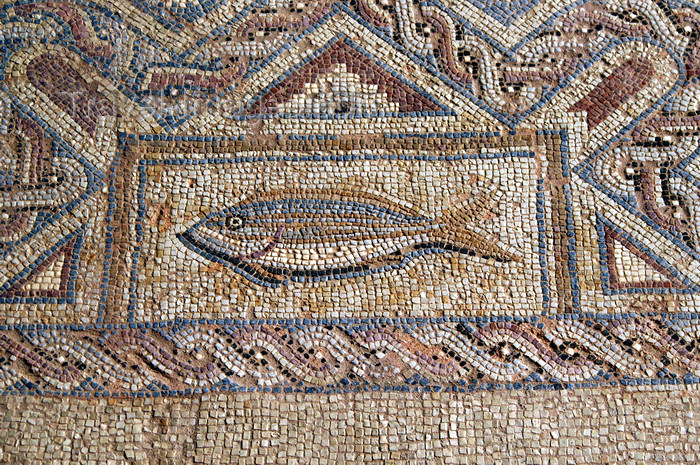 cyprus66: Kourion - Limassol district, Cyprus: fish - mosaic in the baths - complex of Eustolios - photo by A.Ferrari - (c) Travel-Images.com - Stock Photography agency - Image Bank