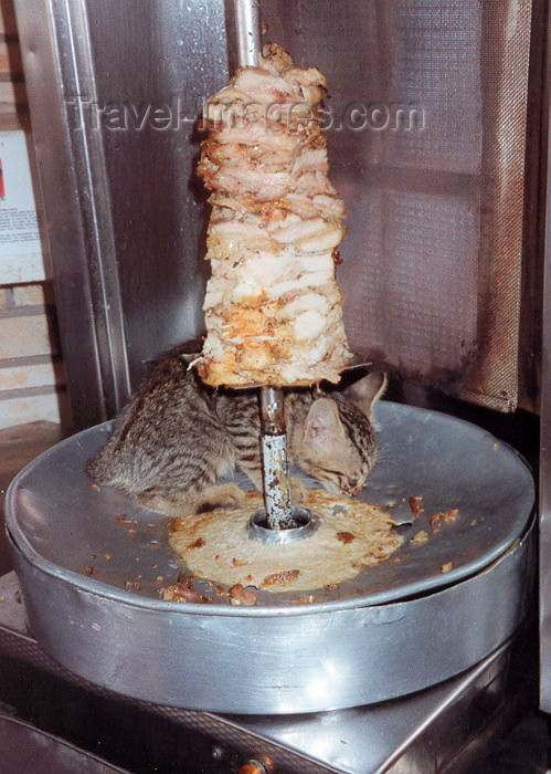 cyprus7: Cyprus - Petra Tou Romiou: Cat Kebab? - gyros - photo by Miguel Torres - (c) Travel-Images.com - Stock Photography agency - Image Bank