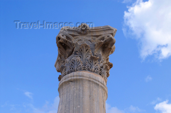 cyprus70: Kourion - Limassol district, Cyprus: ruins of a Roman basilica - column, Corinthian order - photo by A.Ferrari - (c) Travel-Images.com - Stock Photography agency - Image Bank