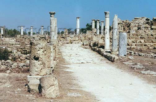 cyprusn16: North Cyprus - Salamis - Famagusta district: Roman ruins (photo by Galen Frysinger) - (c) Travel-Images.com - Stock Photography agency - Image Bank