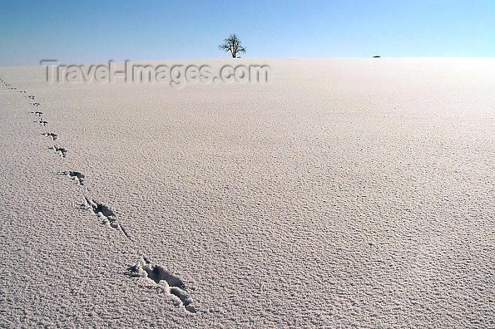 czech248: Czech Republic - Krkonose mountains: white desert - photo by J.Kaman - (c) Travel-Images.com - Stock Photography agency - Image Bank