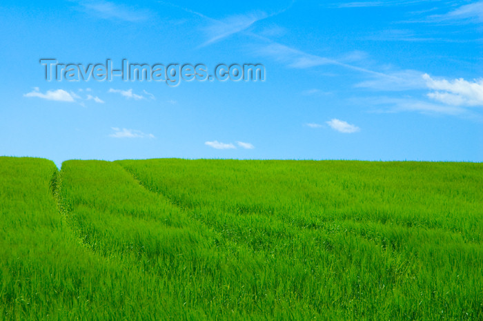 czech364: Czech Republic - Holesov: farming fields - tracks (photo by P.Gustafson) - (c) Travel-Images.com - Stock Photography agency - Image Bank