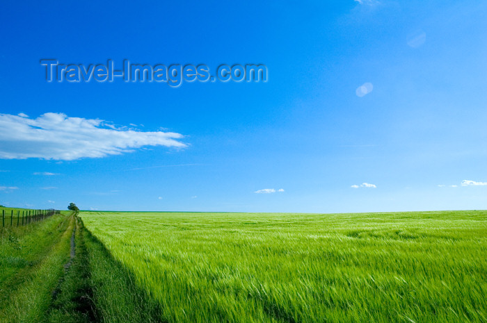 czech366: Czech Republic - Holesov: farming fields - agriculture - Moravia, Central Europe (photo by P.Gustafson) - (c) Travel-Images.com - Stock Photography agency - Image Bank