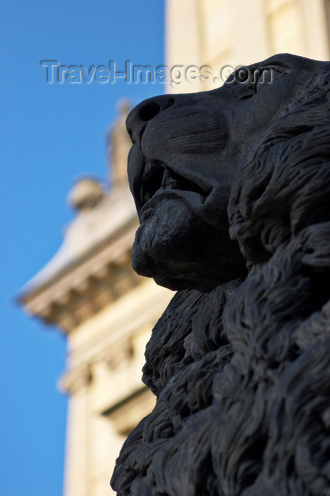 czech423: Lion sculpture outside the Rudolfinum, Dvorak Concert Hall. Prague, Czech Republic. - photo by H.Olarte - (c) Travel-Images.com - Stock Photography agency - Image Bank