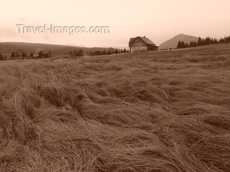 czech486: Czech Republic - Jizera Mountains / Jizerske hory: fields - Liberec Region - photo by J.Kaman - (c) Travel-Images.com - Stock Photography agency - Image Bank