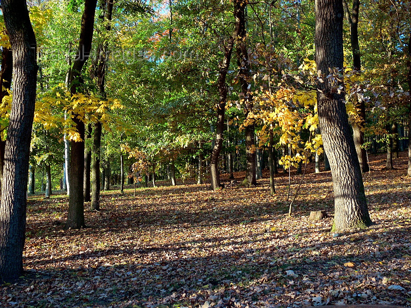 czech499: Czech Republic - Litomerice: Autumn / Fall / Podzim - Usti nad Labem Region - photo by J.Kaman - (c) Travel-Images.com - Stock Photography agency - Image Bank