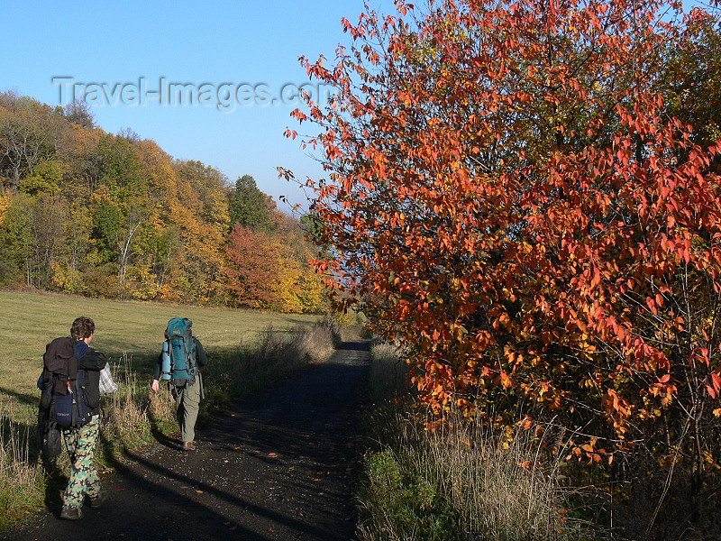 czech501: Czech Republic - Ceske Stredohori mountains: Autumn foliage - Usti nad Labem Region - photo by J.Kaman - (c) Travel-Images.com - Stock Photography agency - Image Bank