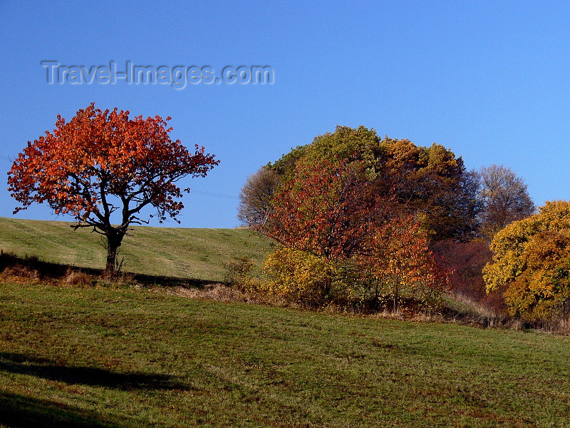 czech502: Czech Republic - Ceske stredohori mountains: Autumn foliage - fields - Usti nad Labem Region - photo by J.Kaman - (c) Travel-Images.com - Stock Photography agency - Image Bank