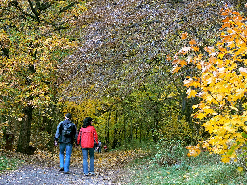 czech507: Czech Republic - Ceske stredohori mountains:  hikers - Autumn foliage - Usti nad Labem Region - photo by J.Kaman - (c) Travel-Images.com - Stock Photography agency - Image Bank